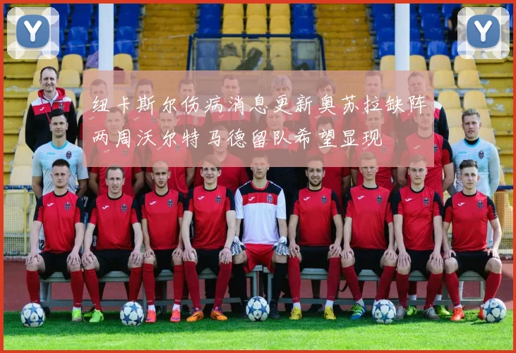 纽卡斯尔伤病消息更新奥苏拉缺阵两周沃尔特马德留队希望显现